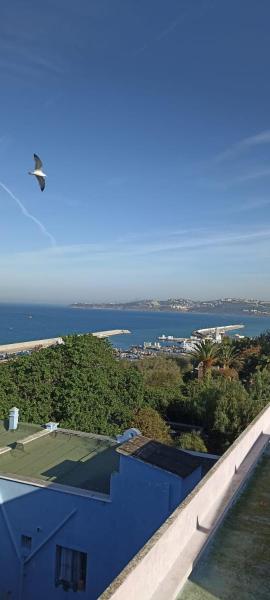 Tanger , Merchan